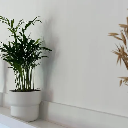 Bed & Breakfast Casale Om Shanti Elice