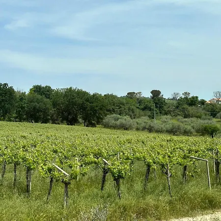 Casale Om Shanti Elice