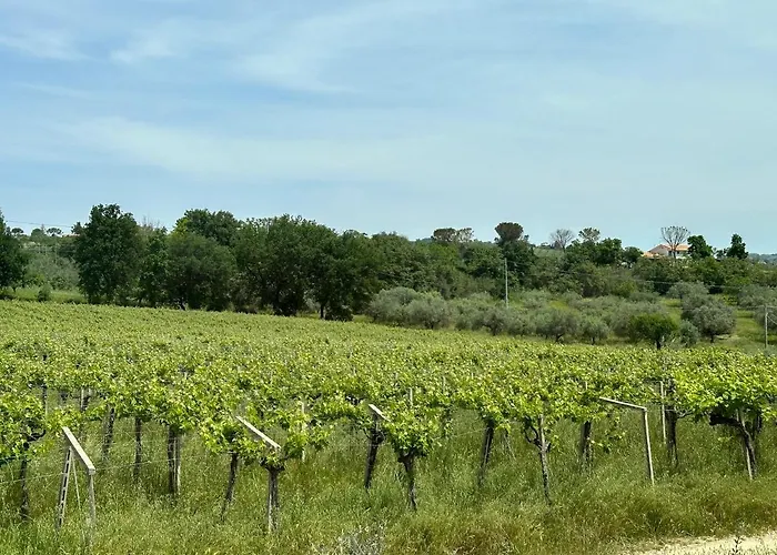 Casale Om Shanti Elice